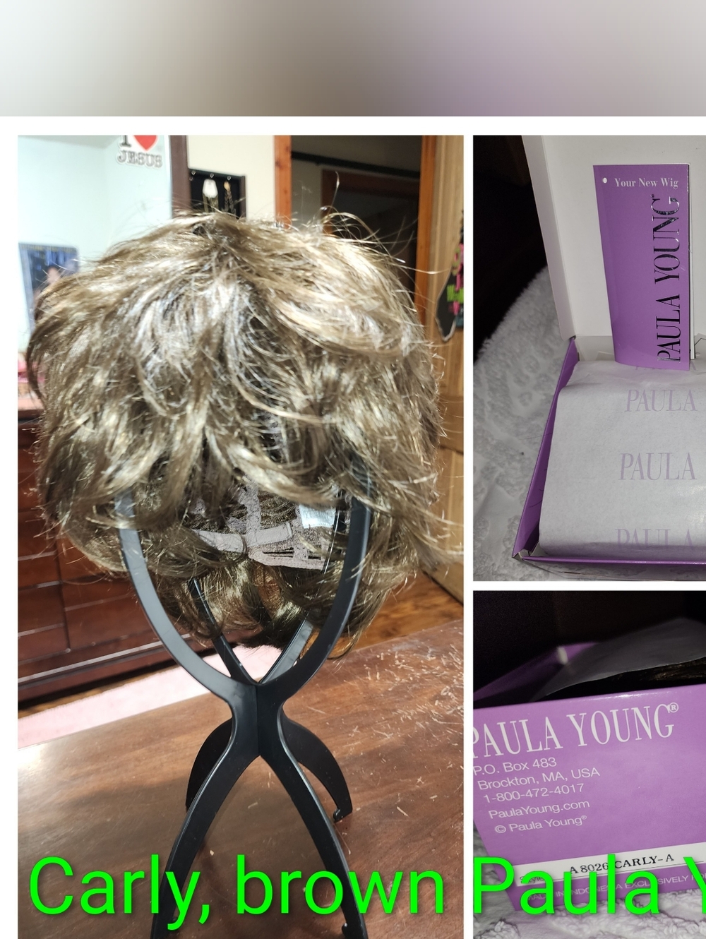 Paula Young Carly Short Brown Women's Wig